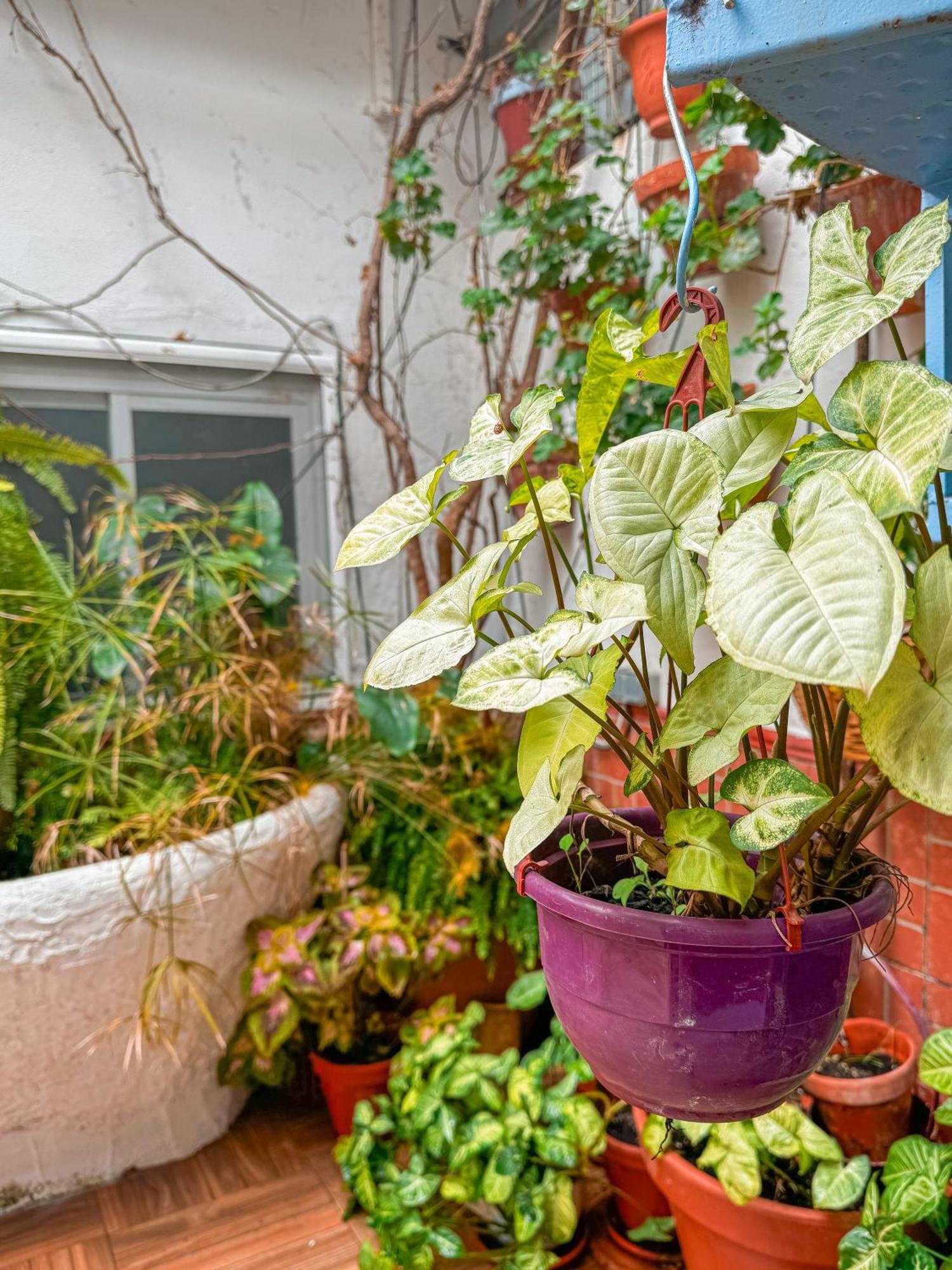 Casa Cruz Villa Almodóvar del Río Екстериор снимка